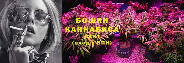 стафф Майский