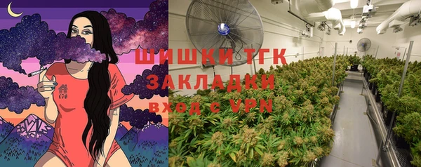 стафф Майский