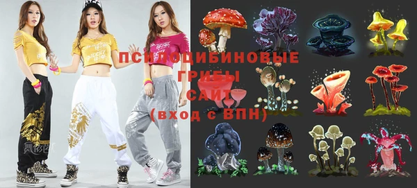 хмурый Липки