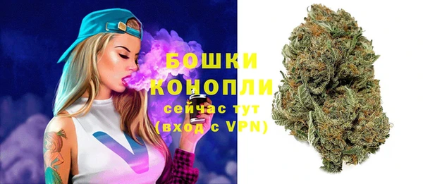 стафф Майский
