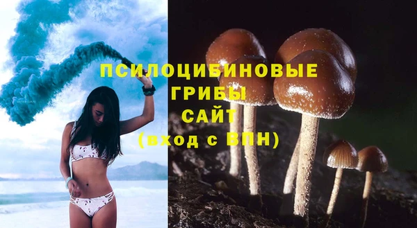 стафф Майский