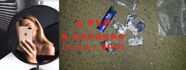 хмурый Липки