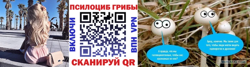Купить  Ревда  Галлюциногенные грибы мицелий 